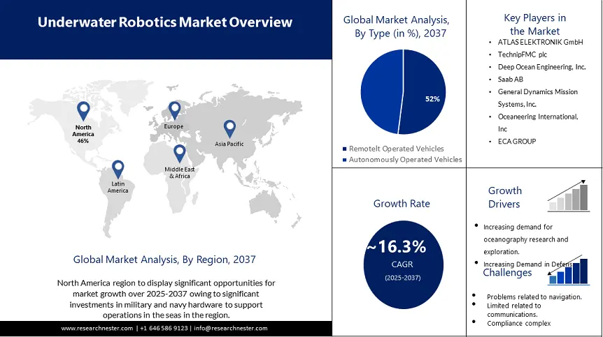 Underwater Robotics Market Overview